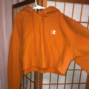Champion cropped sweatshirt